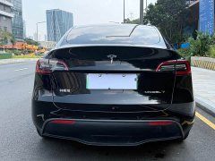 Tesla Model Y 2023 Rear-Wheel Drive - ფოტო 9