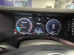 Tank 300 2023 Off-Road Edition 2.0T Conqueror - ფოტო 9