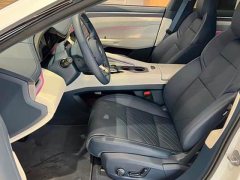 Zeekr 001 YOU Edition 100kWh AWD - ფოტო 9