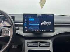 BYD Destroyer 05 Glory Edition DM-i 55KM Luxury - ფოტო 12