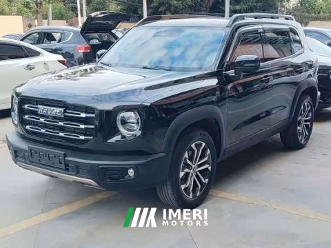 2021 Great Wall Dachshund 1.5T DCT Two-Wheel Drive Border Collie Edition - ავტომობილი ჩინეთიდან