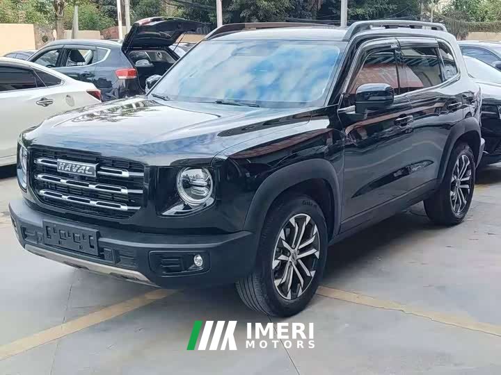 Great Wall Dachshund 1.5T DCT Two-Wheel Drive Border Collie Edition