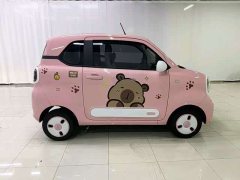 FAW Besturn Xiaoma 2026 222km Colorful Edition - ფოტო 3