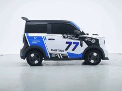 Geely Panda 210km Panda Kart - ფოტო 2