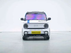 Geely Panda 210km Panda Kart - ფოტო 7
