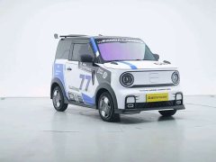 Geely Panda 210km Panda Kart - ფოტო 8