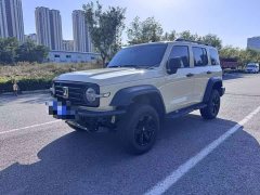 Tank 300 2.0T Gasoline Conqueror - ფოტო 1
