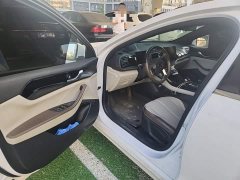 BYD Qin PLUS Glory Edition DM-i 55KM Leading - ფოტო 12