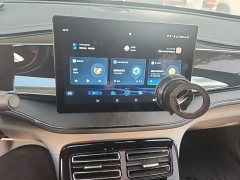 BYD Qin PLUS Glory Edition DM-i 55KM Leading - ფოტო 9