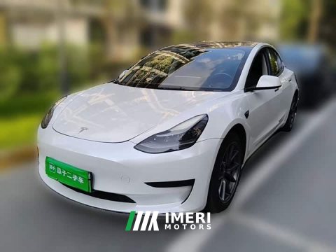 2022 Tesla Model 3 Rear-Wheel Drive - ავტომობილი ჩინეთიდან