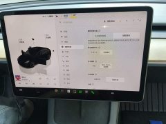 Tesla Model 3 Rear-Wheel Drive - ფოტო 20