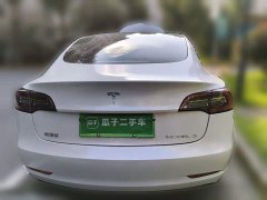 Tesla Model 3 Rear-Wheel Drive - ფოტო 3