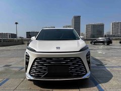 Buick GL8 Luzun Respect Edition - ფოტო 2