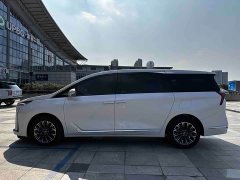 Buick GL8 Luzun Respect Edition - ფოტო 4