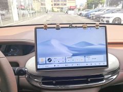 Wuling Bingguo Pro 330km Deluxe Edition - ფოტო 15