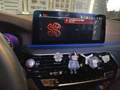 BMW 5 Series 530Li Premier M Sport Package - ფოტო 14
