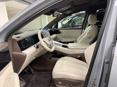 Denza BYD Denza N8L Flagship - ფოტო 9