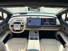 Li Auto i6 Two-wheel drive standard version - ფოტო 16