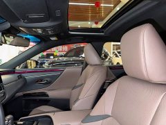 Lexus ES 200 Excellence Edition - ფოტო 14