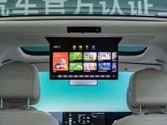 Li Auto Li Xiang MEGA Ultra - ფოტო 9