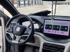 BYD Song Plus New Energy 2021 DM-i 110KM Flagship Plus - ფოტო 10