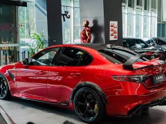 Alfa Romeo Giulia 2021 GTAm - ფოტო 10