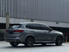 BMW X5 2022 xDrive 30Li Luxury M Sport Package - ფოტო 8