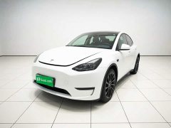 Tesla Model Y 2023 Long Range All-Wheel Drive - ფოტო 1
