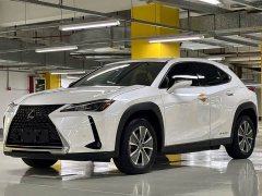Lexus UX New Energy 2020 300e Pure Joy Edition - ფოტო 1