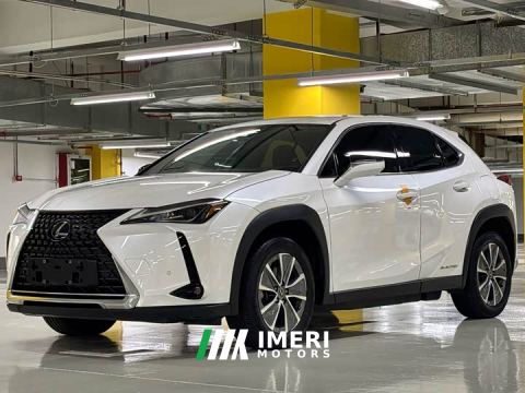 2022 Lexus UX New Energy 300e Pure Joy Edition
