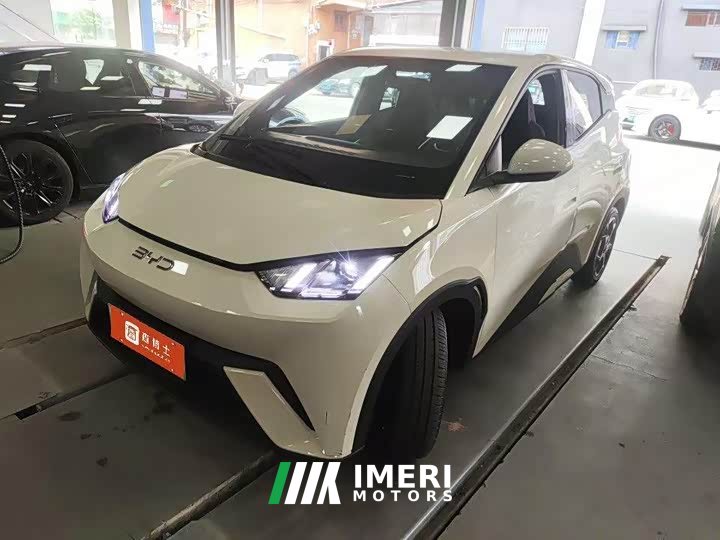 BYD Seagull Glory Edition 405km Flying Edition