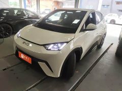 BYD Seagull 2024 Glory Edition 405km Flying Edition - ფოტო 1