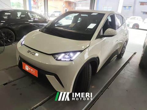 2025 BYD Seagull Glory Edition 405km Flying Edition