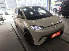 BYD Seagull 2024 Glory Edition 405km Flying Edition - ფოტო 2