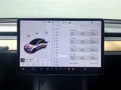 Tesla Model Y Standard Range RWD - ფოტო 12