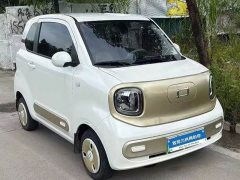 FAW Besturn Xiaoma 222km Lightning Edition - ფოტო 1