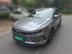 BYD Destroyer 05 Glory Edition DM-i 120KM Luxury - ფოტო 1