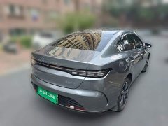 BYD Destroyer 05 Glory Edition DM-i 120KM Luxury - ფოტო 6