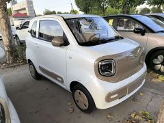 FAW Besturn Xiaoma 222km Auspicious Edition - ფოტო 3