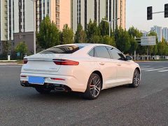Geely Xingrui 2.0T Diesel Premium Edition - ფოტო 11