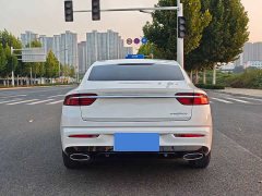 Geely Xingrui 2.0T Diesel Premium Edition - ფოტო 12