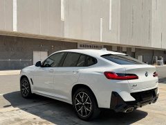BMW X4 xDrive 25i M Sport Package - ფოტო 7