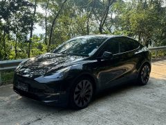 Tesla Model Y Performance All-Wheel Drive - ფოტო 1