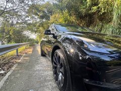 Tesla Model Y Performance All-Wheel Drive - ფოტო 13