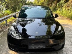 Tesla Model Y Performance All-Wheel Drive - ფოტო 2