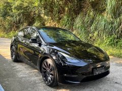 Tesla Model Y Performance All-Wheel Drive - ფოტო 3