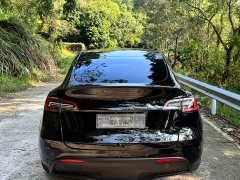 Tesla Model Y Performance All-Wheel Drive - ფოტო 4