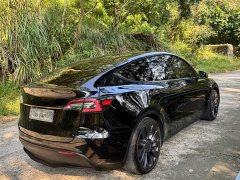 Tesla Model Y Performance All-Wheel Drive - ფოტო 5