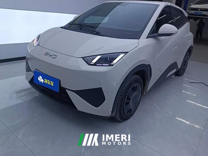 BYD Seagull Smart Drive 305km Vitality Edition - ავტომობილი ჩინეთიდან