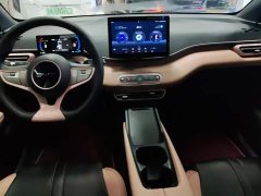 BYD Seagull Smart Drive 305km Vitality Edition - ფოტო 12